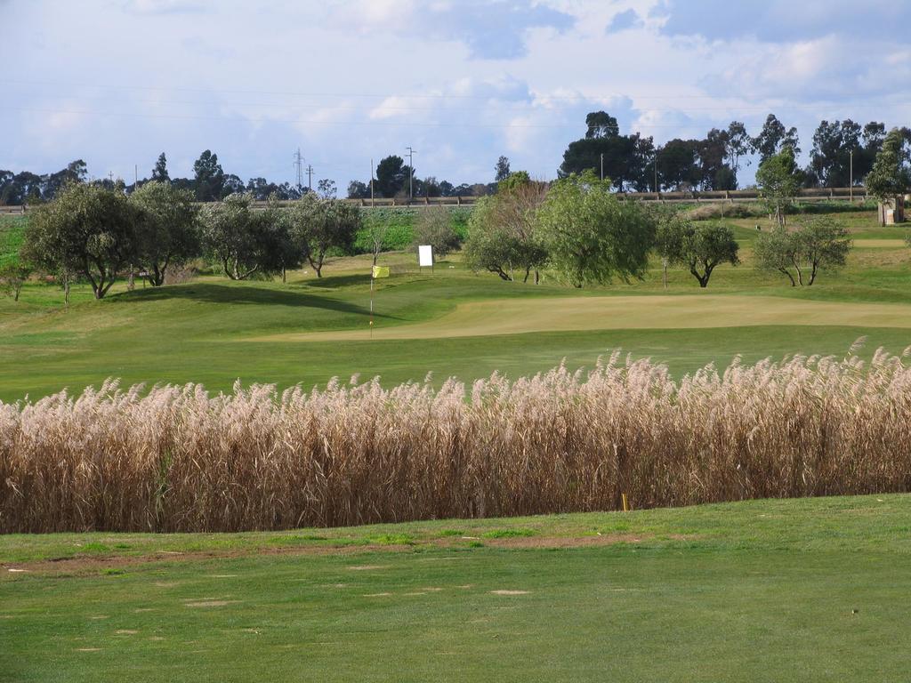 Golf Club Metaponto Konuk evi Dış mekan fotoğraf